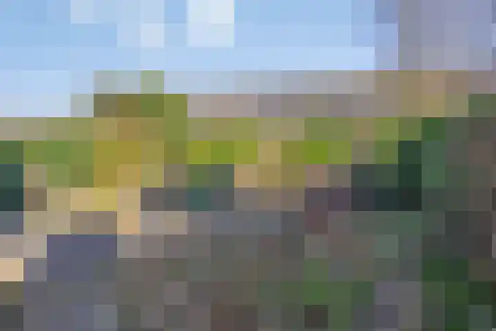 Scheperskamp 25 Vledder thumbnail 26