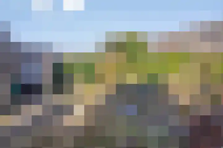 Scheperskamp 25 Vledder thumbnail 27