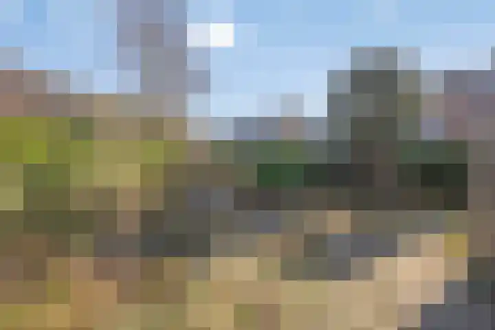 Scheperskamp 25 Vledder thumbnail 28