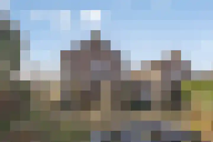 Scheperskamp 25 Vledder thumbnail 29