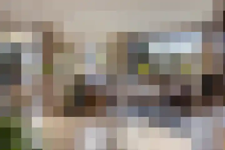 Scheperskamp 25 Vledder foto 3