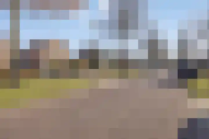 Scheperskamp 25 Vledder thumbnail 32