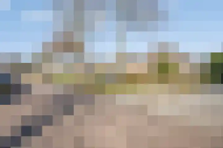 Scheperskamp 25 Vledder thumbnail 33