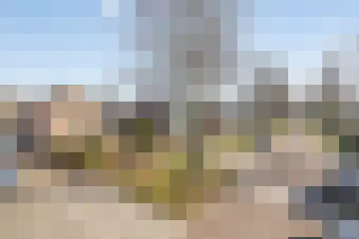 Scheperskamp 25 Vledder thumbnail 34