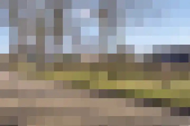 Scheperskamp 25 Vledder thumbnail 35