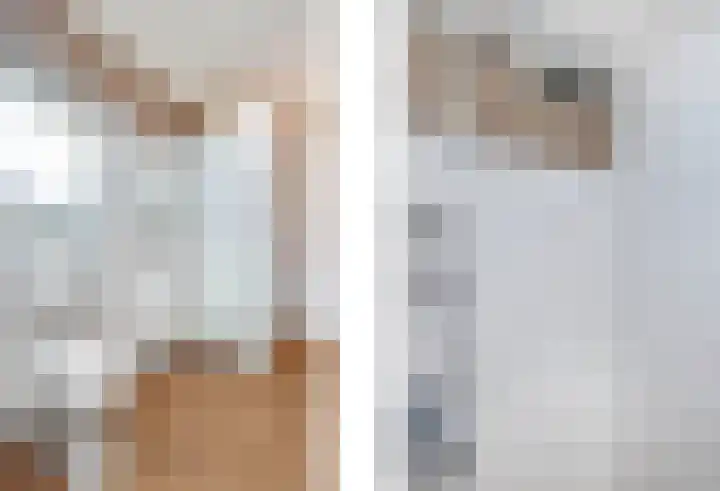 Scheperskamp 25 Vledder thumbnail 37