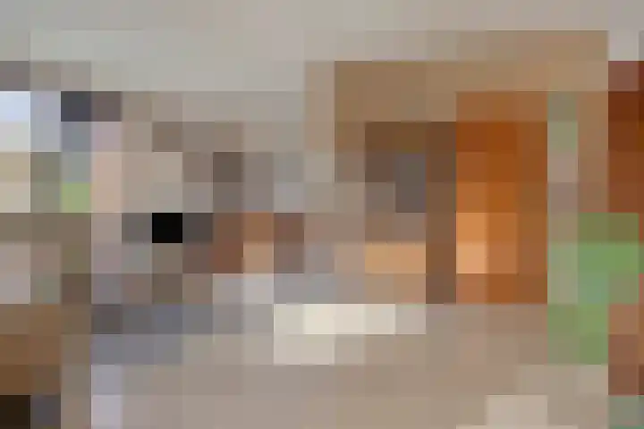 Scheperskamp 25 Vledder thumbnail 4