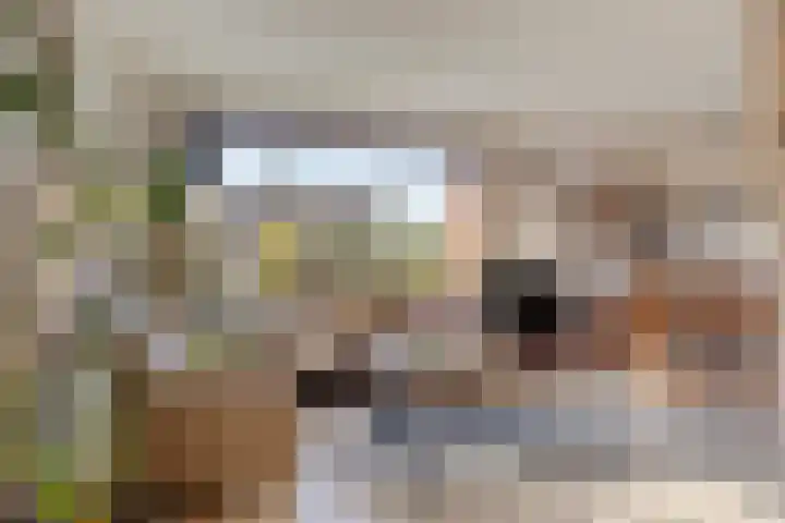 Scheperskamp 25 Vledder thumbnail 5