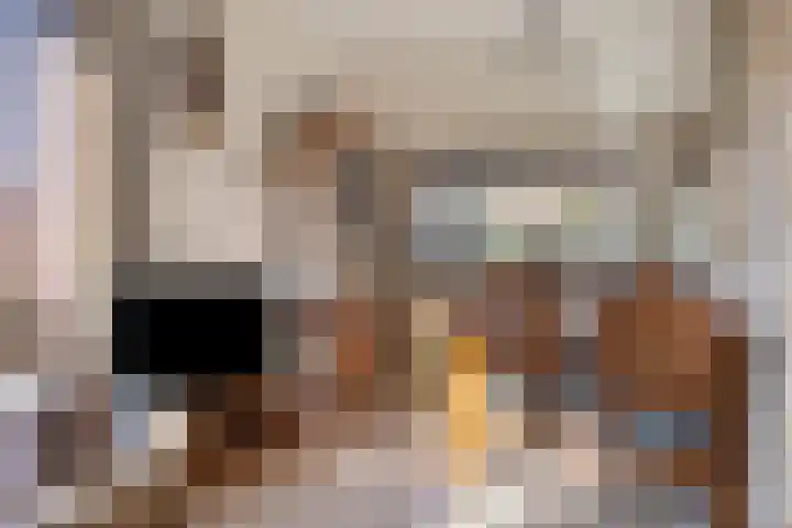 Scheperskamp 25 Vledder thumbnail 6