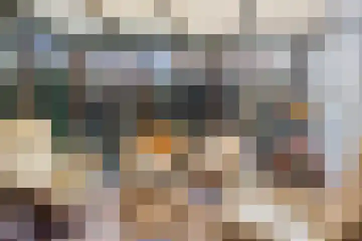 Scheperskamp 25 Vledder thumbnail 8