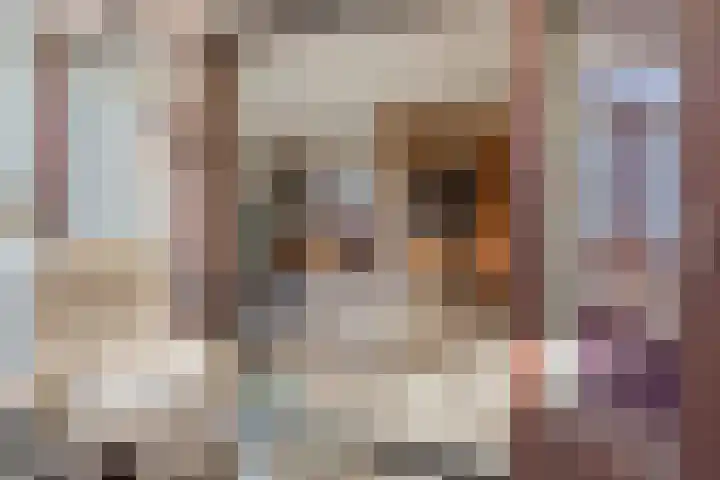 Scheperskamp 25 Vledder thumbnail 9