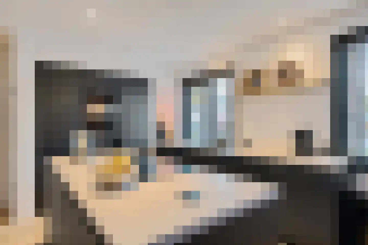 Scheperskamp 3 Vledder thumbnail 13