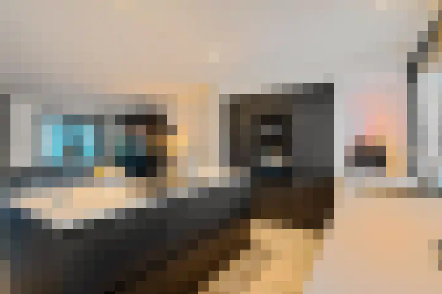 Scheperskamp 3 Vledder thumbnail 14