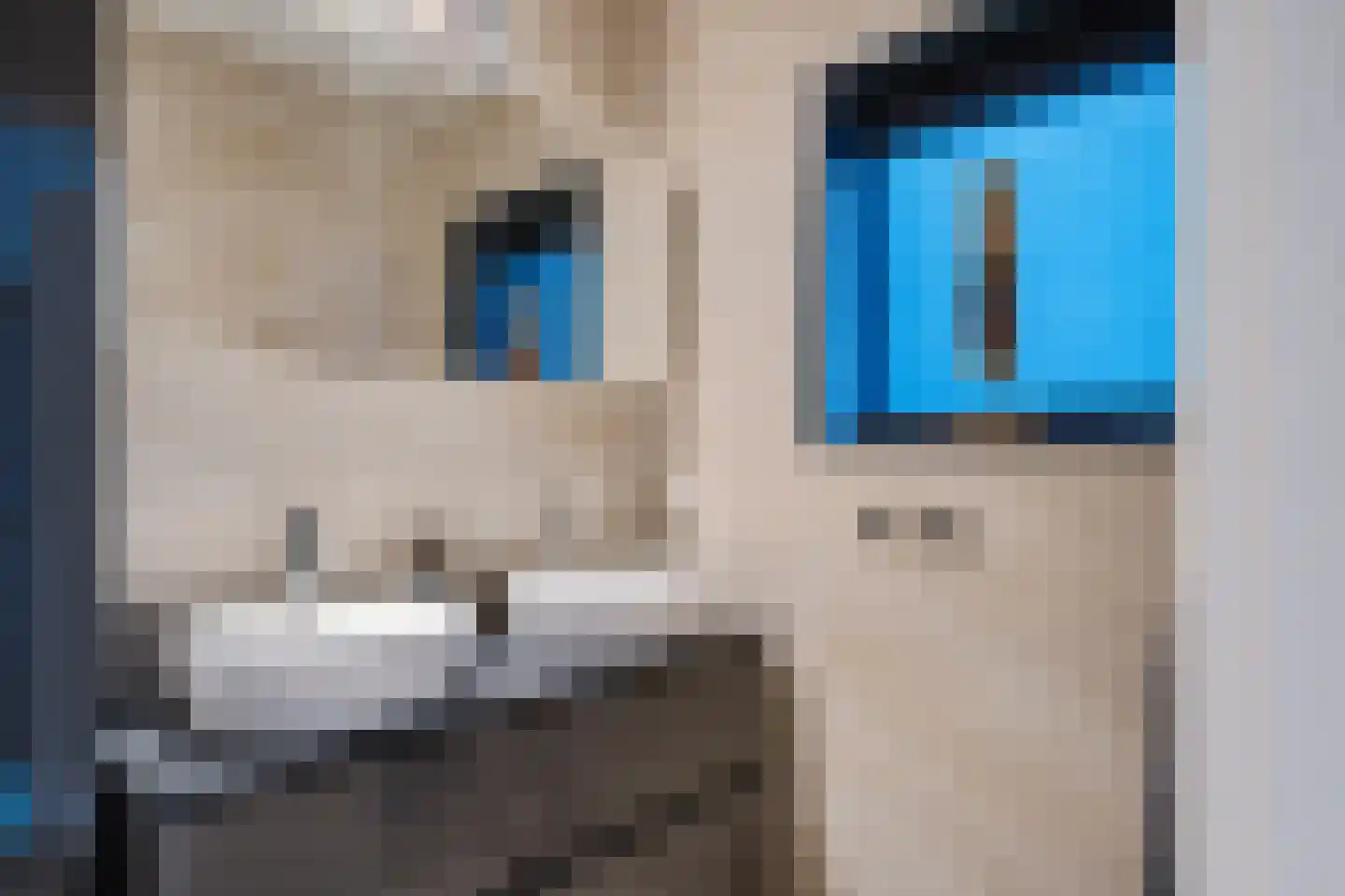 Scheperskamp 3 Vledder thumbnail 16