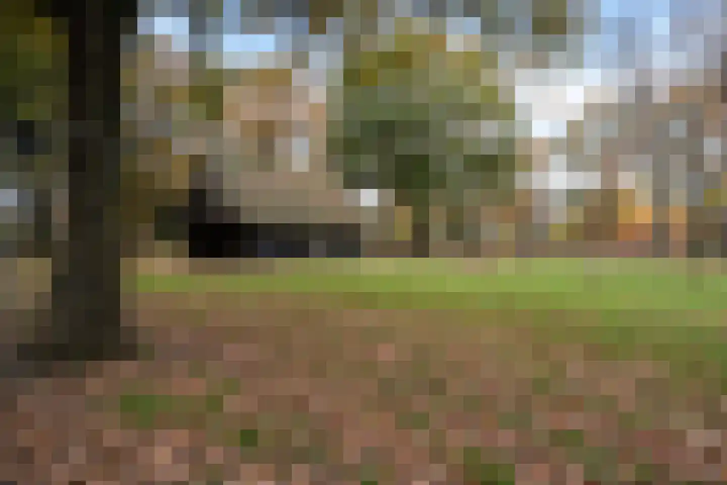 Scheperskamp 3 Vledder thumbnail 35