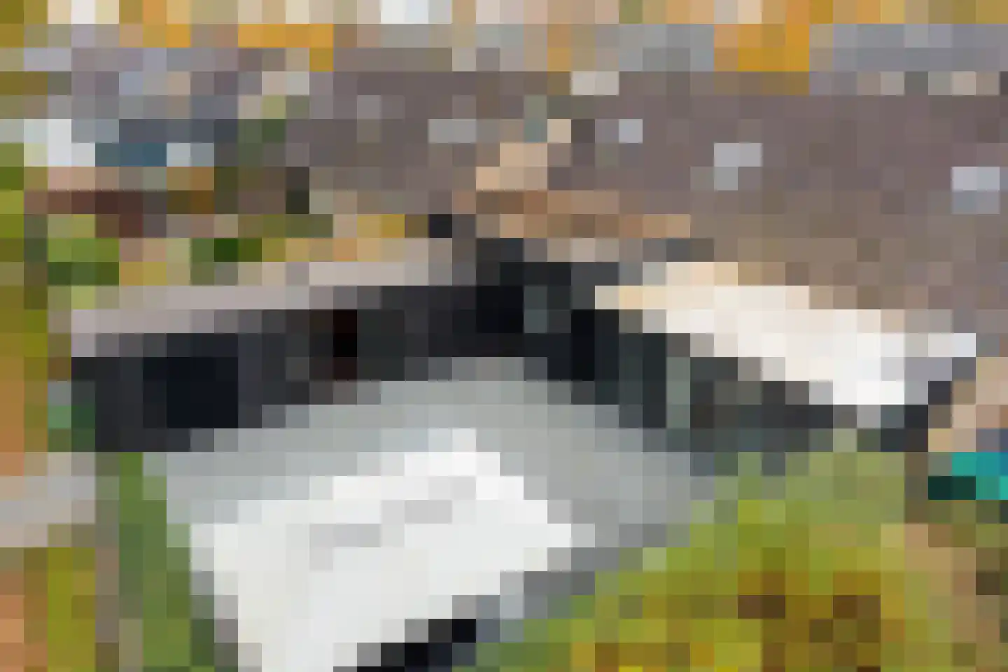 Scheperskamp 3 Vledder thumbnail 39