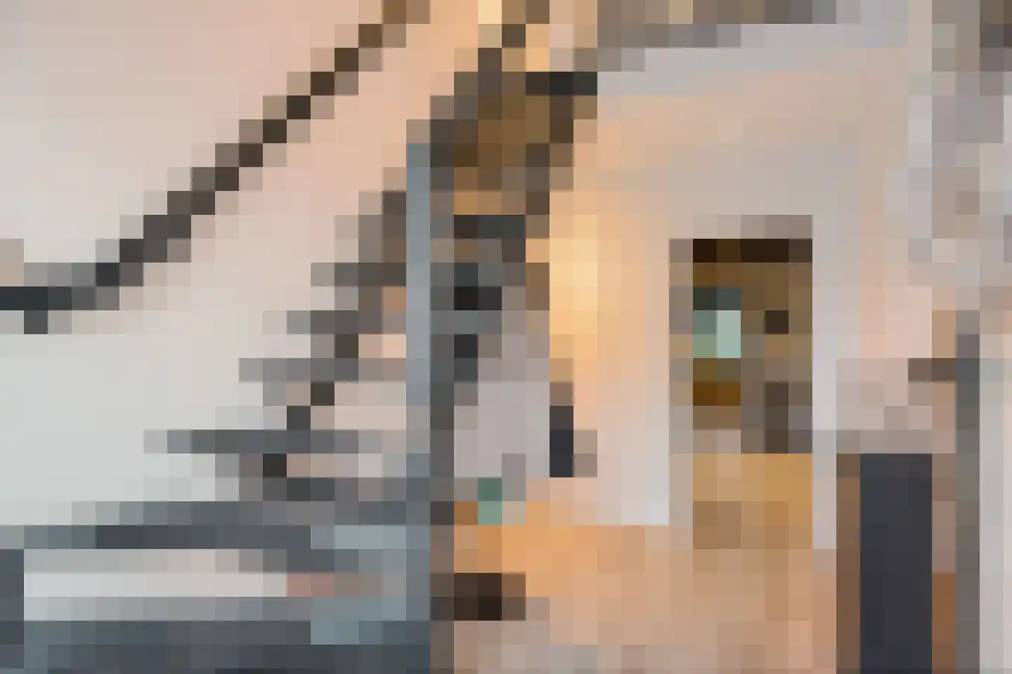 Scheperskamp 3 Vledder thumbnail 4