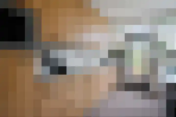 Scheperskamp 37 Vledder thumbnail 14
