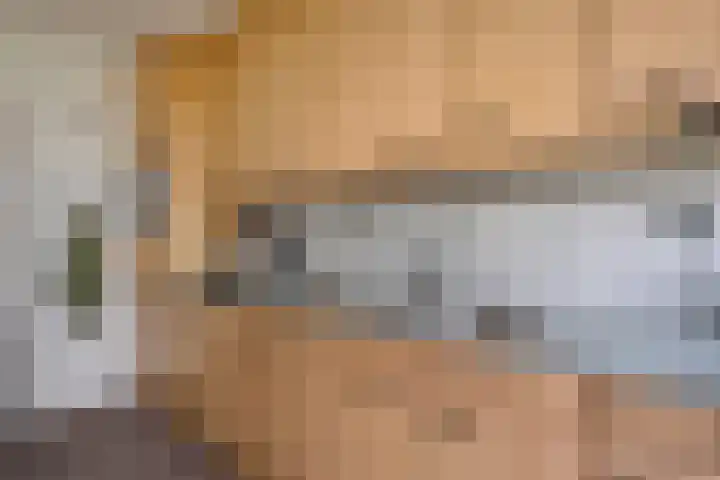 Scheperskamp 37 Vledder thumbnail 15