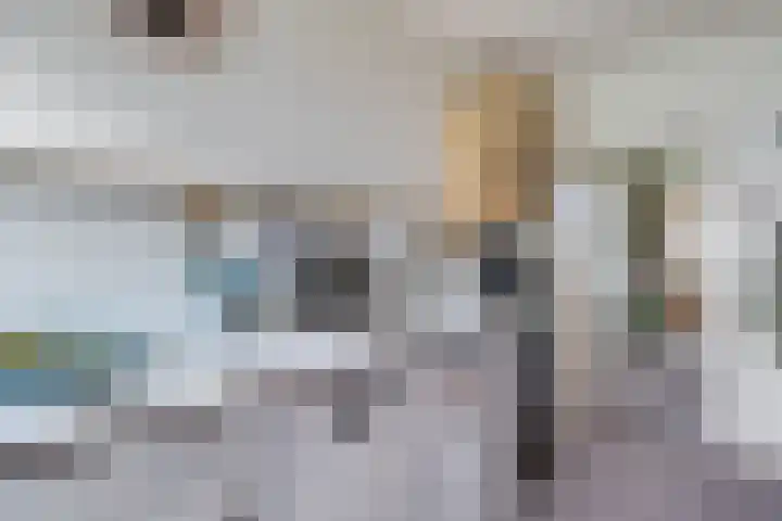 Scheperskamp 37 Vledder thumbnail 16