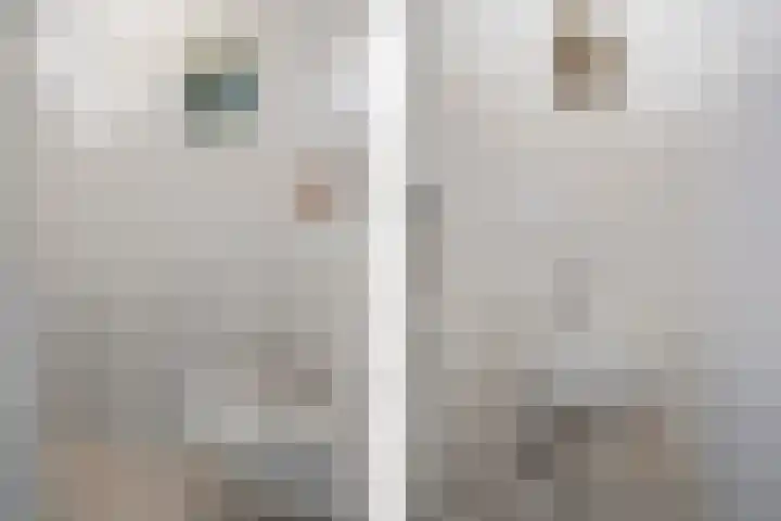 Scheperskamp 37 Vledder thumbnail 18
