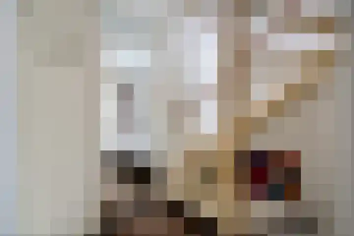 Scheperskamp 37 Vledder thumbnail 19