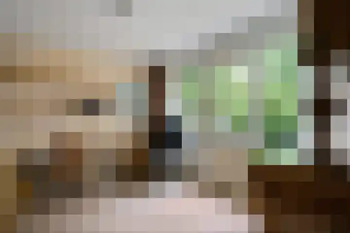 Scheperskamp 37 Vledder thumbnail 22