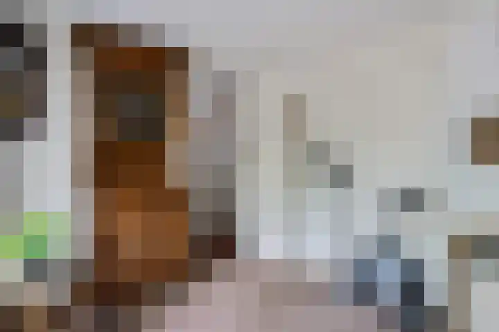 Scheperskamp 37 Vledder thumbnail 23