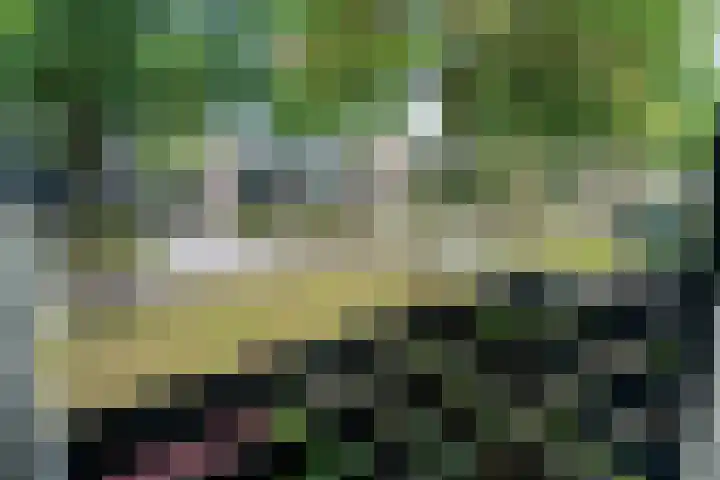 Scheperskamp 37 Vledder thumbnail 24