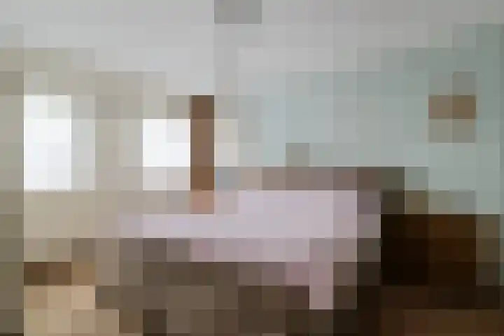 Scheperskamp 37 Vledder thumbnail 26