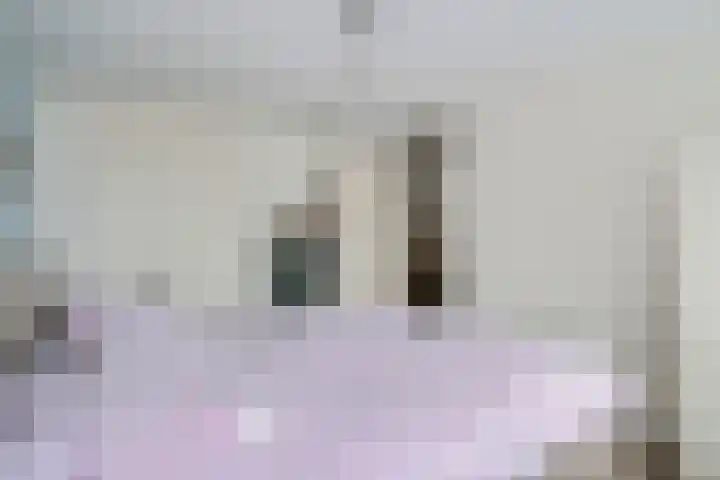 Scheperskamp 37 Vledder thumbnail 27