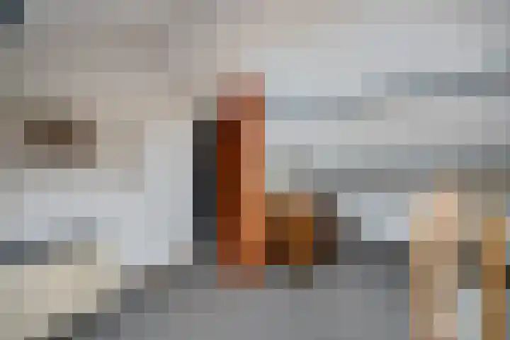 Scheperskamp 37 Vledder thumbnail 32