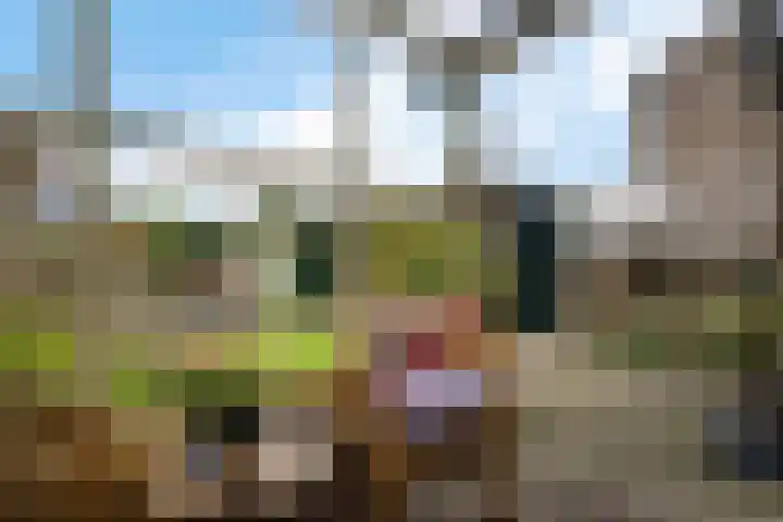 Scheperskamp 37 Vledder thumbnail 33