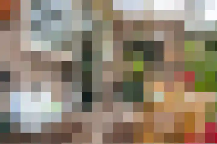 Scheperskamp 37 Vledder thumbnail 34