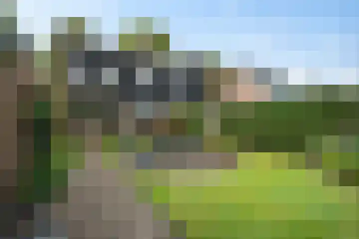 Scheperskamp 37 Vledder thumbnail 35