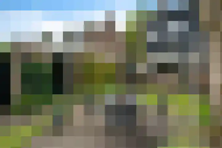 Scheperskamp 37 Vledder thumbnail 36