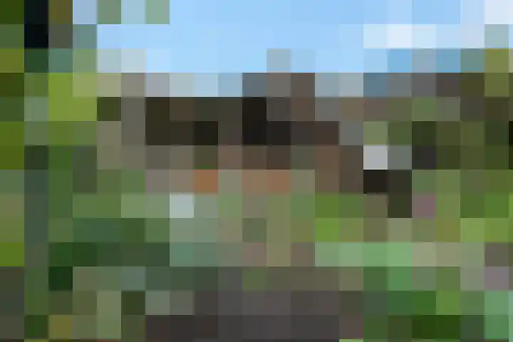Scheperskamp 37 Vledder thumbnail 37