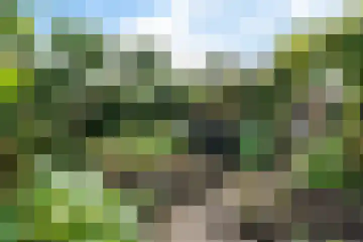 Scheperskamp 37 Vledder thumbnail 38