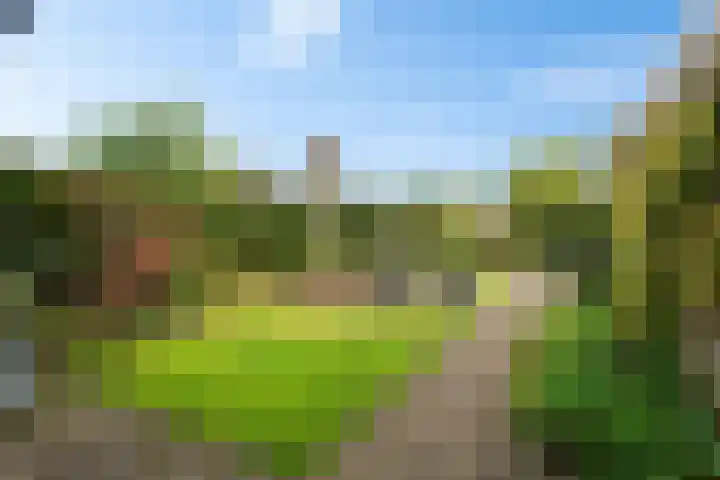 Scheperskamp 37 Vledder thumbnail 4