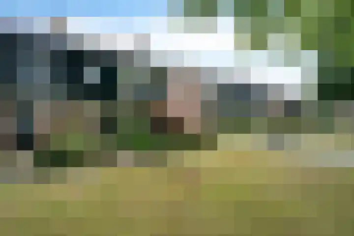 Scheperskamp 37 Vledder thumbnail 40