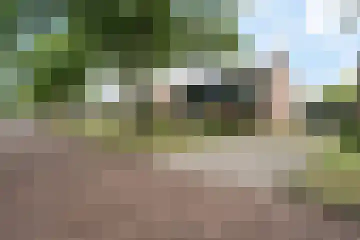 Scheperskamp 37 Vledder thumbnail 41