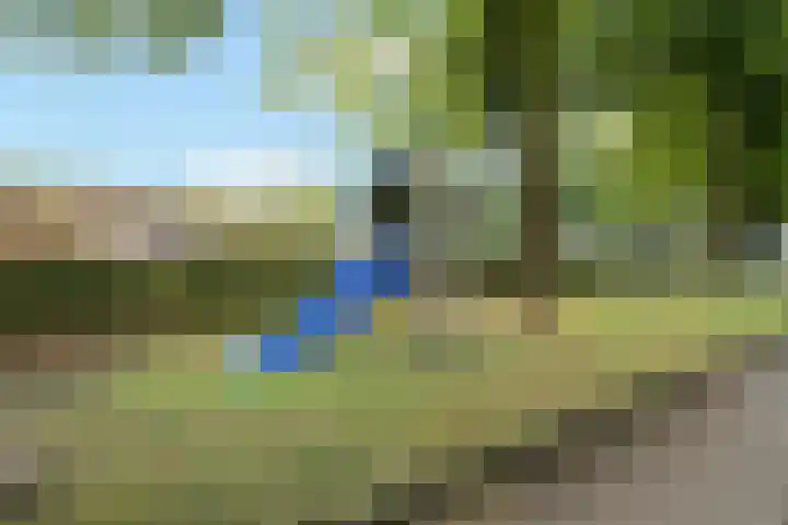 Scheperskamp 37 Vledder thumbnail 42
