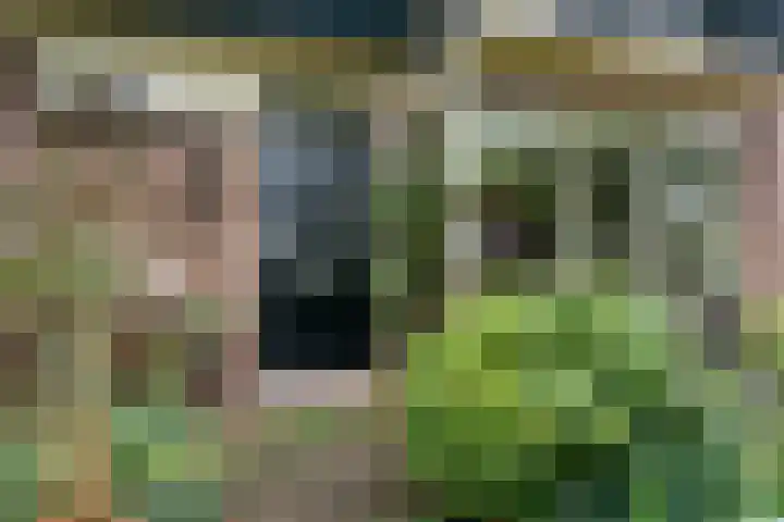 Scheperskamp 37 Vledder thumbnail 5