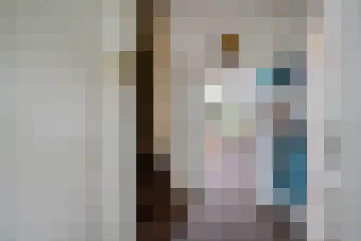 Scheperskamp 37 Vledder thumbnail 6