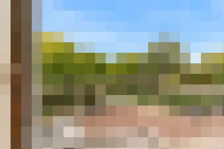 Scheperweg 39 Bussum thumbnail 20