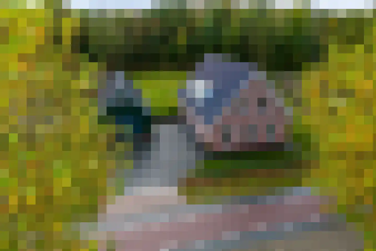 Schepperbuurt 48 Borgsweer