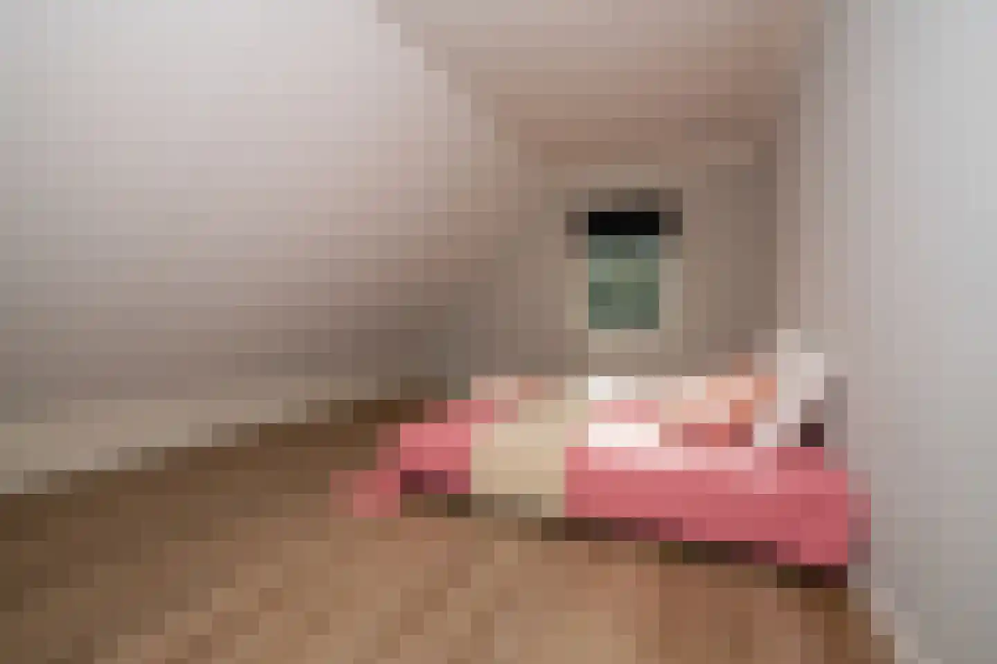 Schepperbuurt 48 Borgsweer thumbnail 26