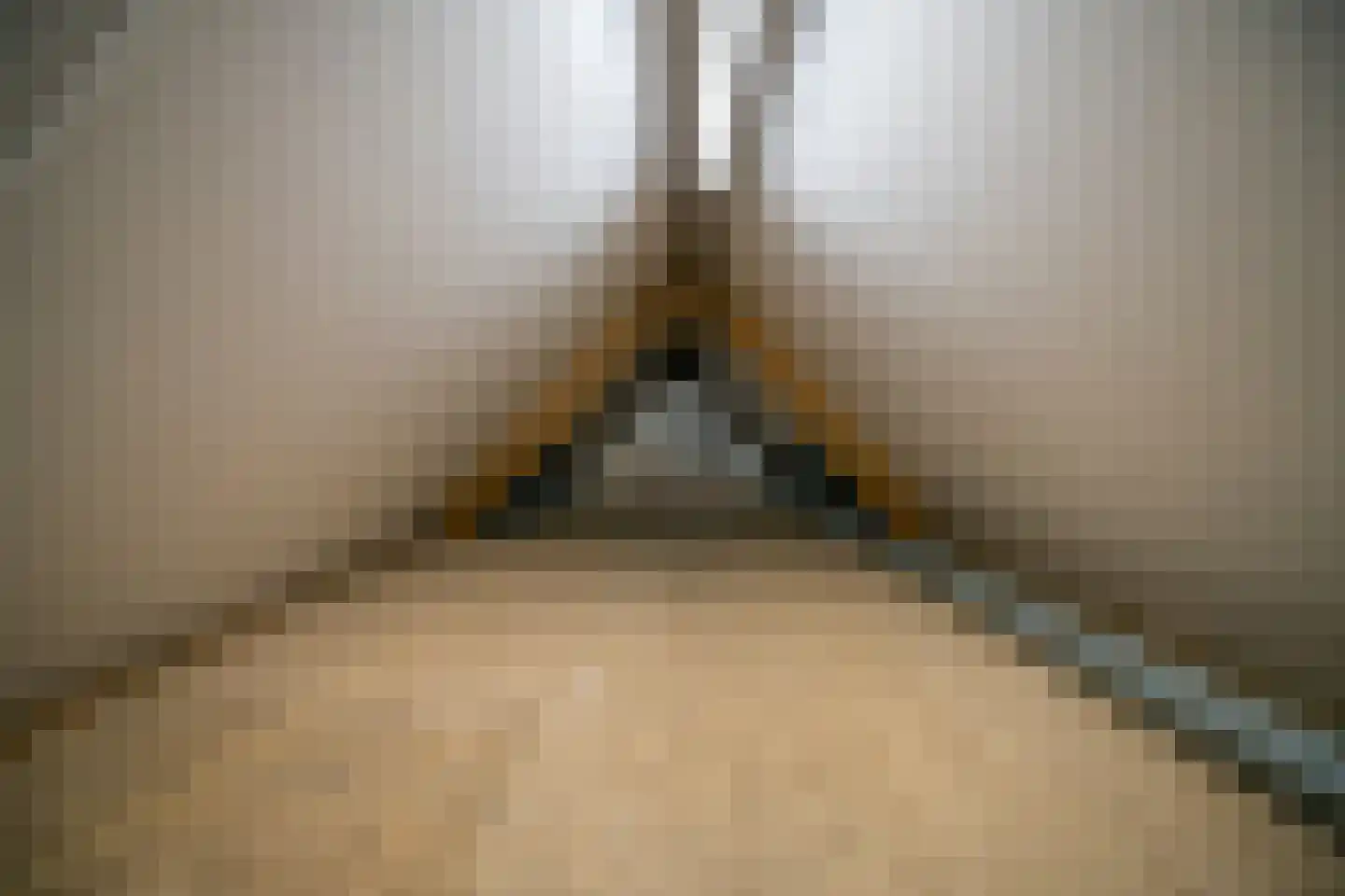 Schepperbuurt 48 Borgsweer thumbnail 36