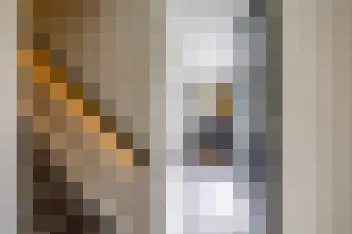 Schepperij 2 Meerstad thumbnail 27