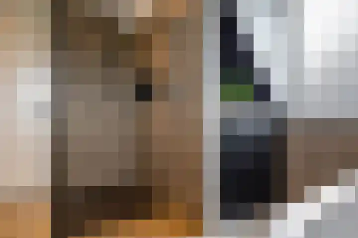 Schepperij 2 Meerstad thumbnail 31